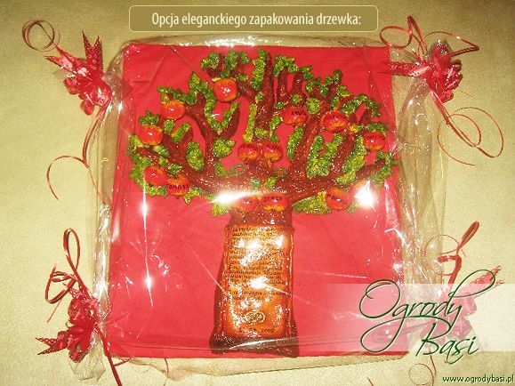 prezent na rocznicę