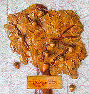 Nowość: Mapa Polski!