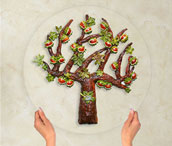 drzewo genealogiczne ogrody basi wizualizacja 2